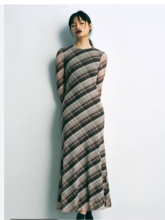 Zara Dresses & Skirts - Zara NWT Plaid Mesh Maxi Dress Long Sleeve Sheer Check Dress Medium 5039/283